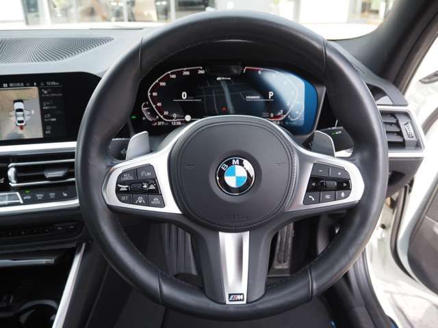 Bmw 3 SERIES 2019-12 196588-10