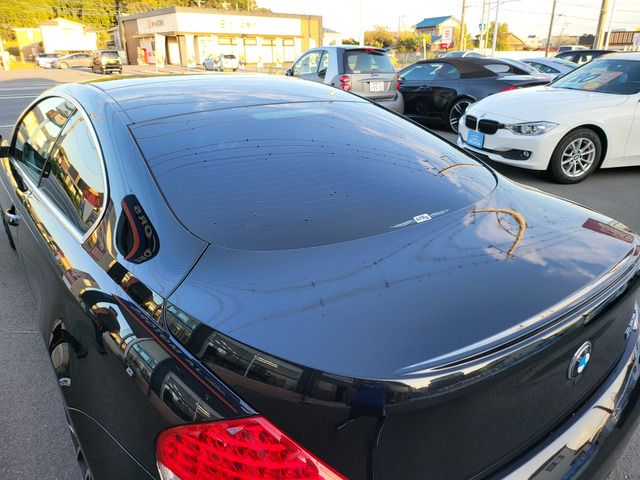 Bmw 6 SERIES 2007-02 14896-19