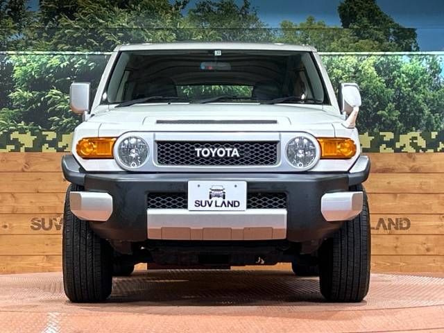 Toyota FJ CRUISER 2013-11 183792-14