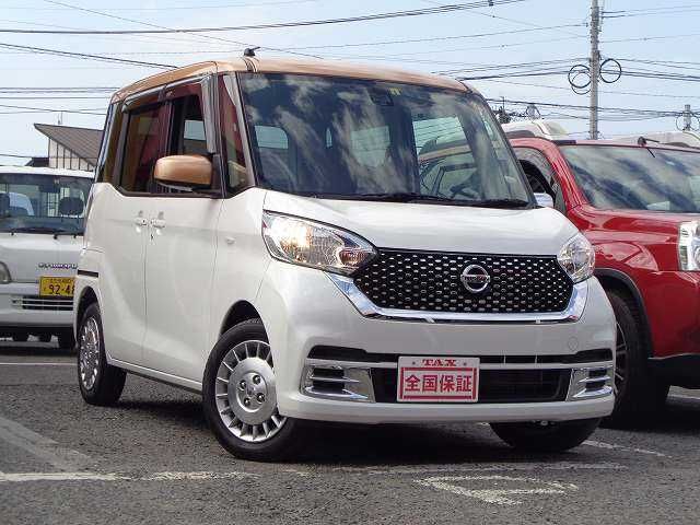 Nissan DAYZ ROOX 2017-06 8255-18