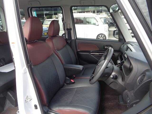 Nissan DAYZ ROOX 2017-06 8255-13