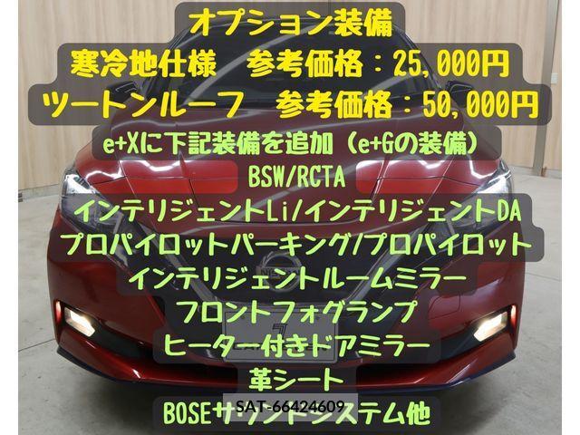 Nissan LEAF 2019-06 367072-4