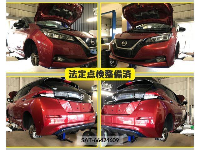 Nissan LEAF 2019-06 367072-5