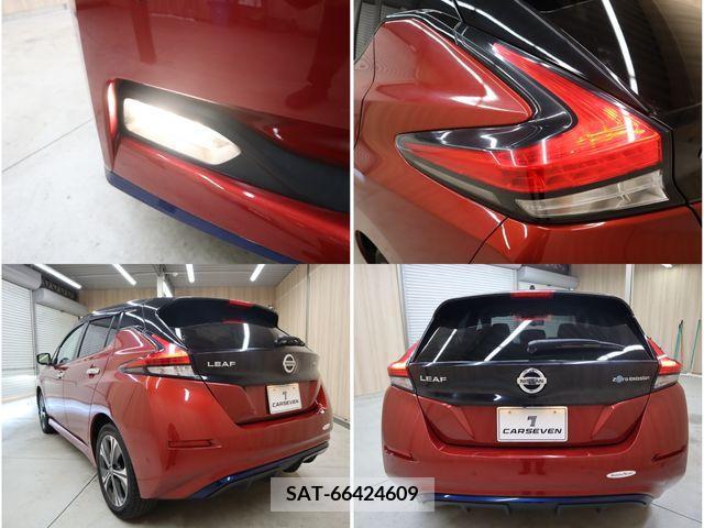 Nissan LEAF 2019-06 367072-19