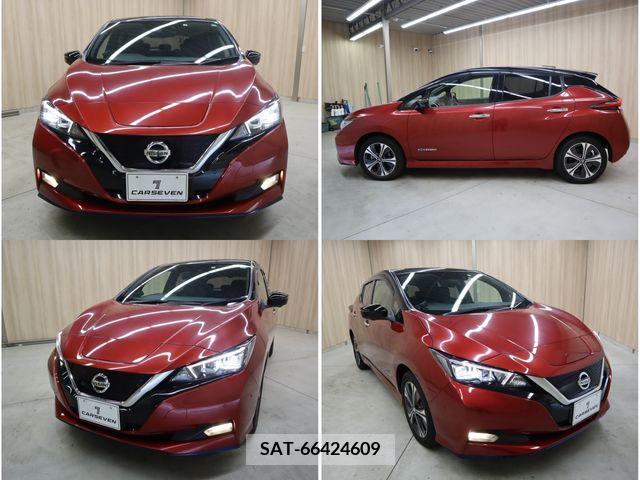 Nissan LEAF 2019-06 367072-18
