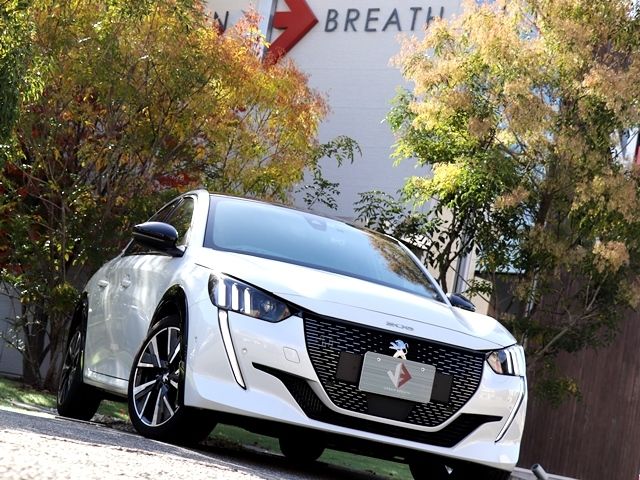Peugeot 208 2021-01 183212-3