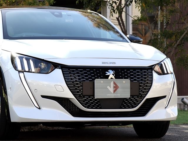 Peugeot 208 2021-01 183212-7