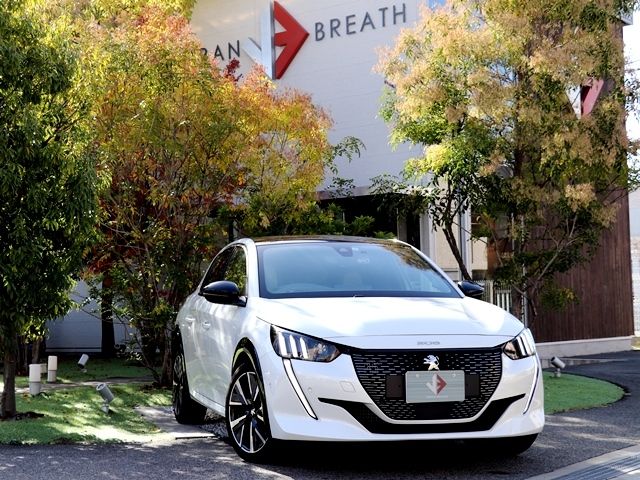 Peugeot 208 2021-01 183212-0