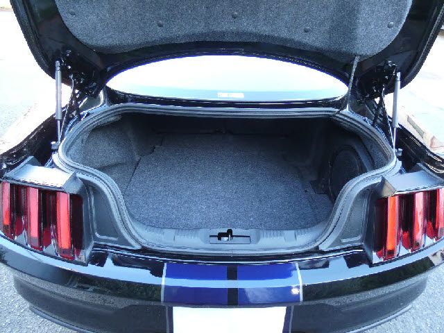 Ford MUSTANG 2023-03 188066-16