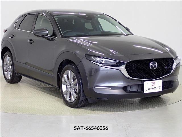 Mazda CX-30 2022-07 302128-3