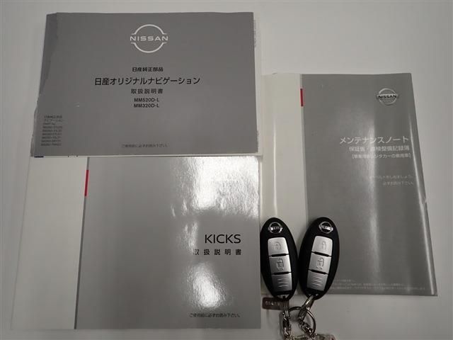 Nissan KICKS 2020-11 196527-2