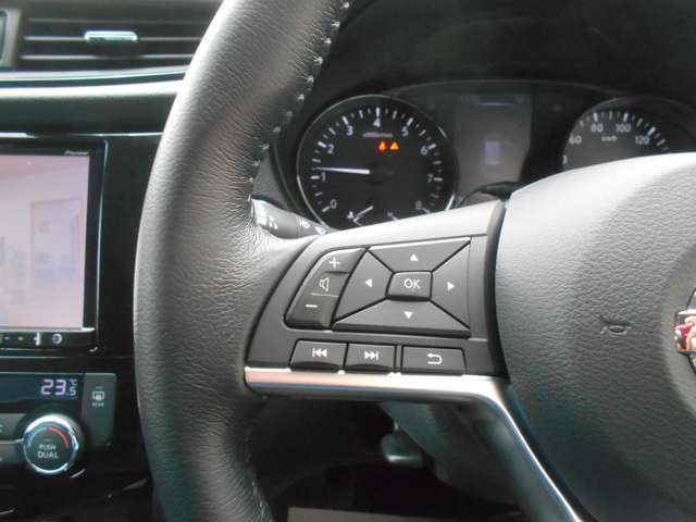 Nissan X-TRAIL 2018-05 3891-5
