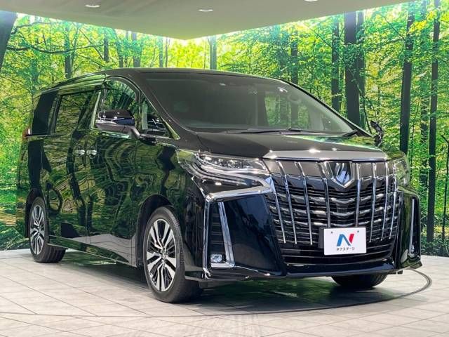 Toyota ALPHARD 2020-12 180563-16