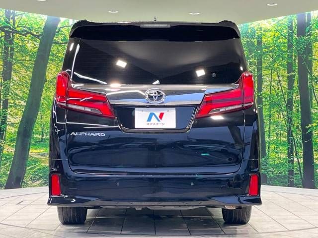Toyota ALPHARD 2020-12 180563-15