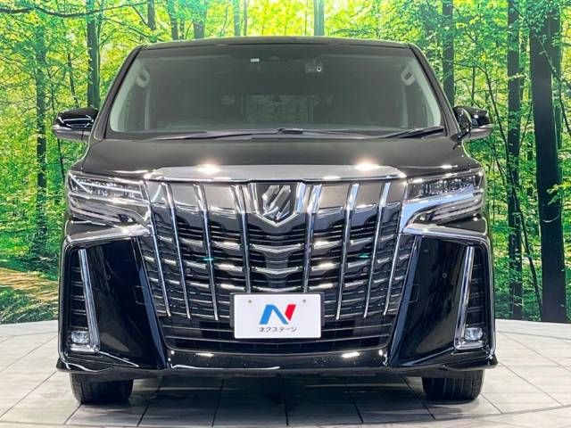 Toyota ALPHARD 2020-12 180563-14