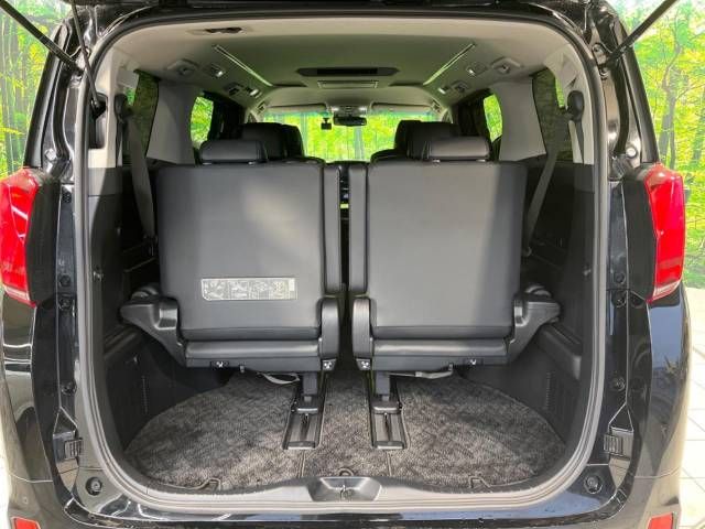 Toyota ALPHARD 2020-12 180563-10