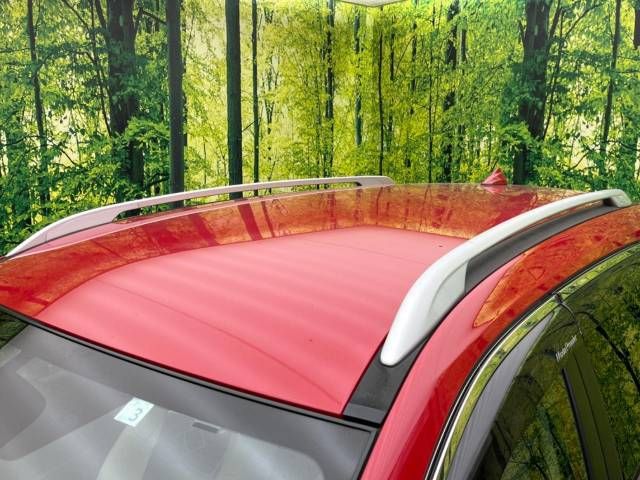 Nissan X-TRAIL 2016-03 194866-2