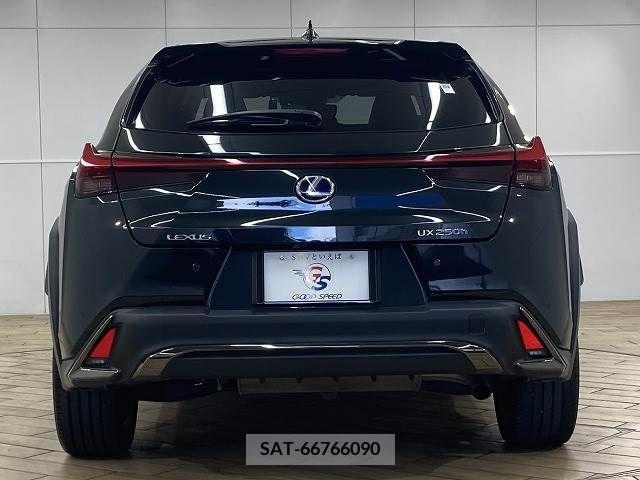 Lexus UX 2019-02 354040-14