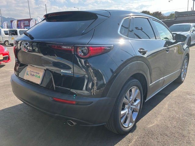 Mazda CX-30 2020-04 189378-5