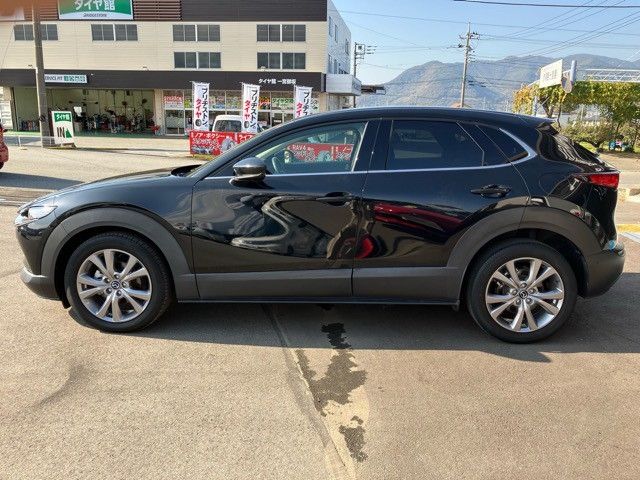 Mazda CX-30 2020-04 189378-8