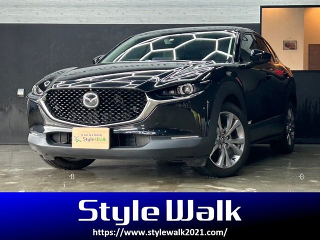 Mazda CX-30 2020-04 189378-0
