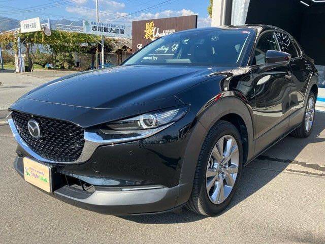 Mazda CX-30 2020-04 189378-9
