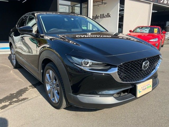 Mazda CX-30 2020-04 189378-3