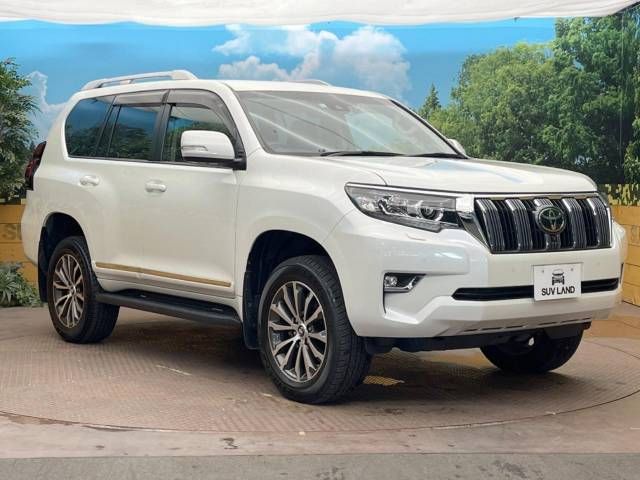 Toyota PRADO 2020-11 17513-16