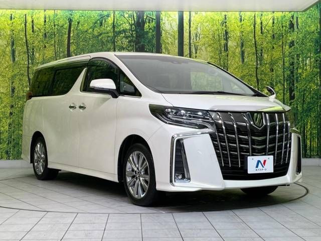 Toyota ALPHARD 2019-10 194051-16