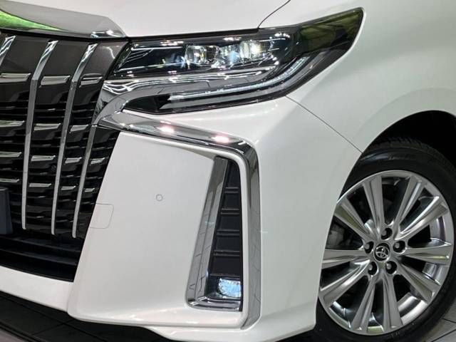 Toyota ALPHARD 2019-10 194051-12