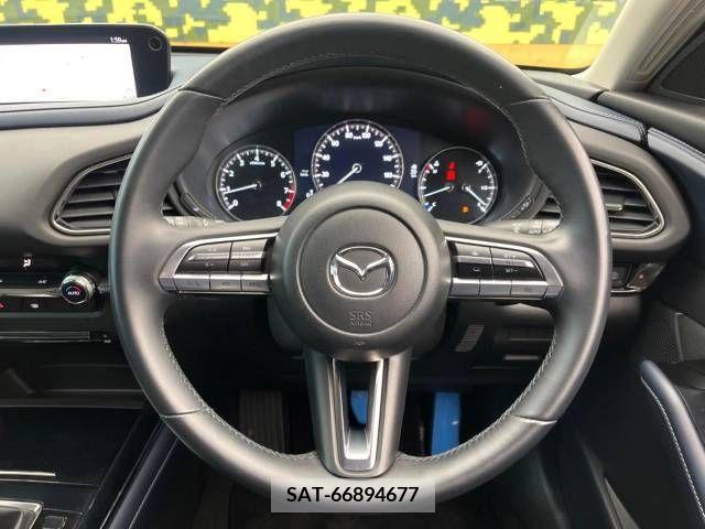 Mazda CX-30 2020-03 295872-11
