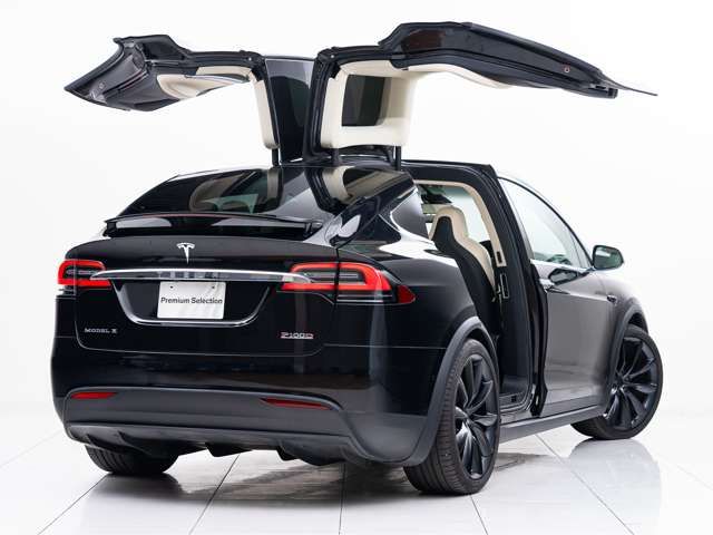 Tesla MODEL X 2018-06 23152-12