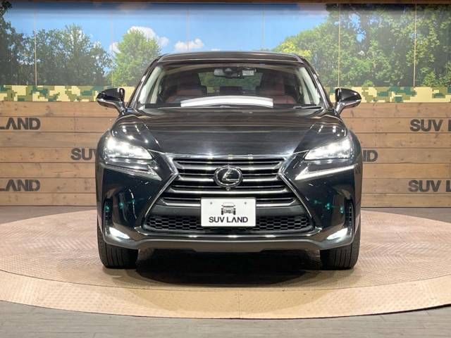 Lexus NX 2015-07 17453-14