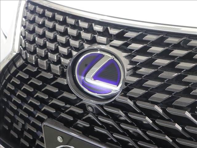 Lexus RX 2020-10 186587-14