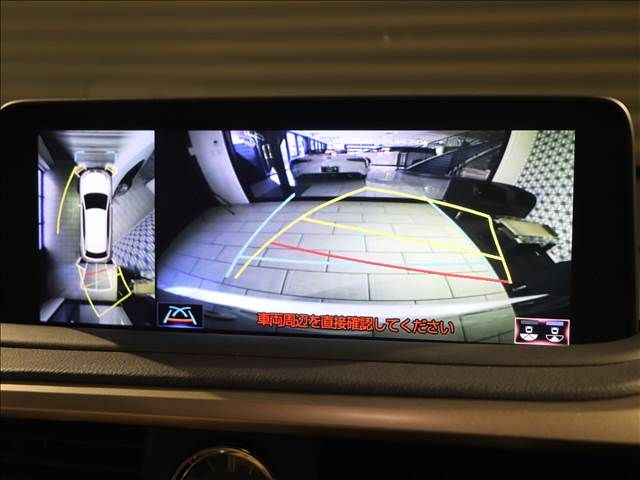 Lexus RX 2020-10 186587-3