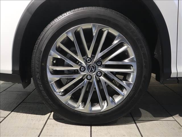 Lexus RX 2020-10 186587-16