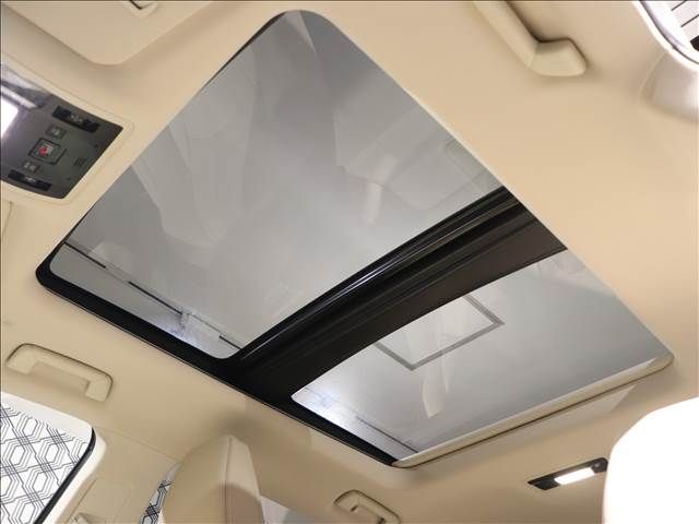 Lexus RX 2020-10 186587-12