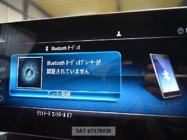 Amg C-CLASS 2019-04 291870-16