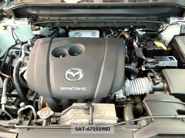 Mazda CX-8 2021-03 390286-19