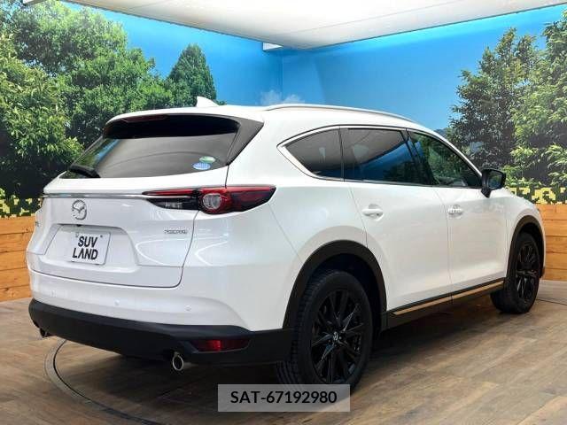 Mazda CX-8 2021-03 390286-18