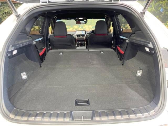 Lexus NX 2018-04 181852-11