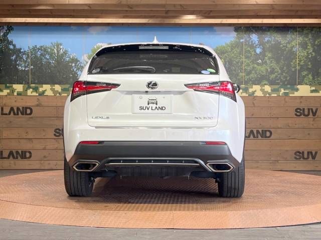 Lexus NX 2018-04 181852-15
