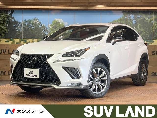 Lexus NX 2018-04 181852-0
