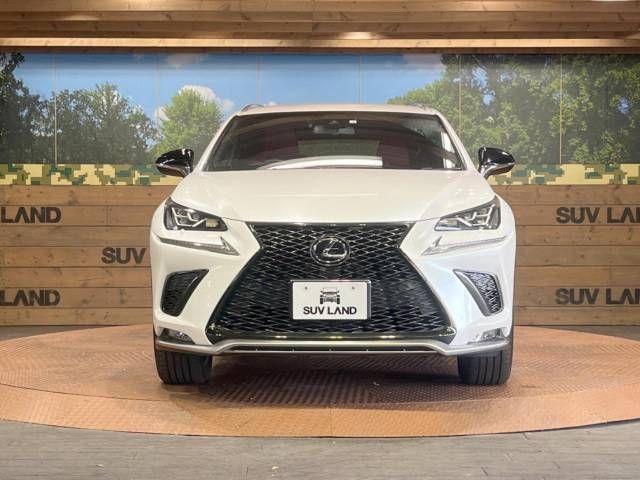 Lexus NX 2018-04 181852-14