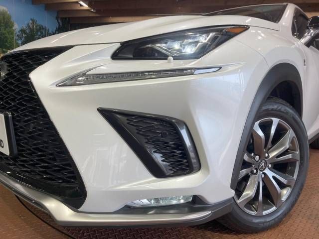 Lexus NX 2018-04 181852-12