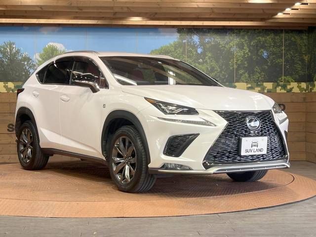 Lexus NX 2018-04 181852-16