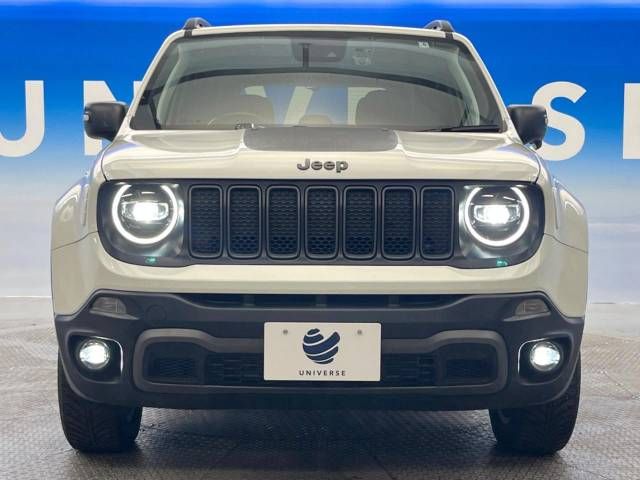 Jeep RENEGADE 2019-06 23157-14