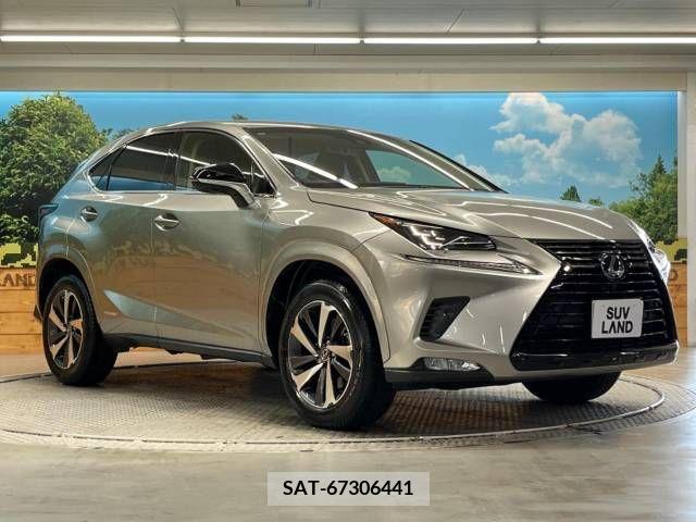 Lexus NX 2019-03 388224-15