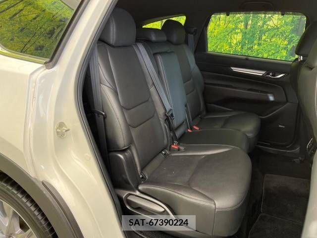Mazda CX-8 2020-06 224295-8