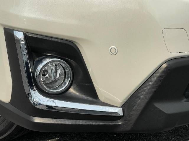 Subaru SUBARU 2017-05 185461-19